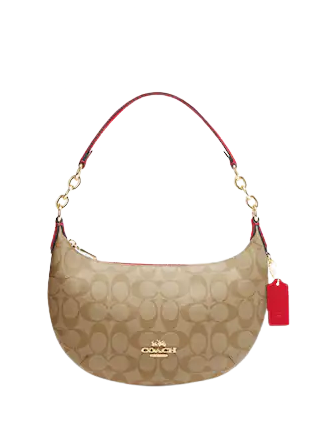Coach Payton Hobo In Signature Canvas