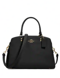Coach Lillie Carryall