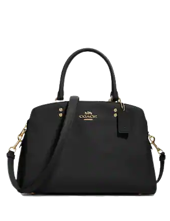 Coach Lillie Carryall
