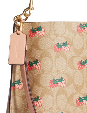 Coach Mollie Bucket Bag 22 In Signature Canvas With Strawberry Print