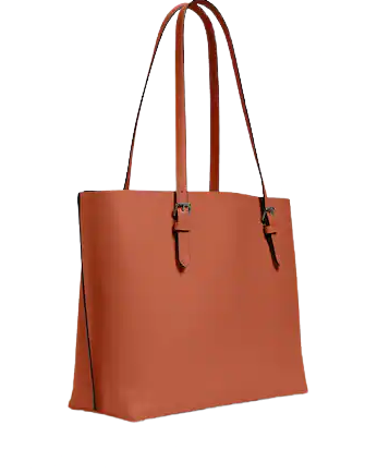 Coach Mollie Tote